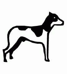 Greyhound