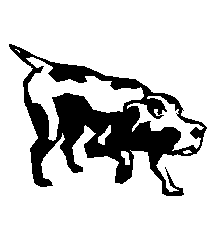Hound