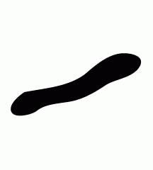 Tiger Penis
