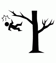 Fell From Tree