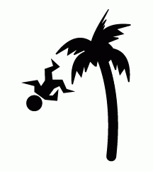 Fallen From Coconut Tree