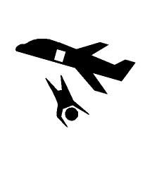 Fell From Aeroplane