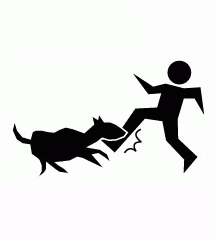 Bitten By Dog