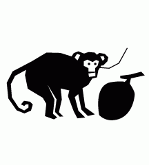 Monkey Plucking Coconut