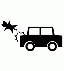 Dog Knocked Down By Car