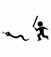 Hitting Snake