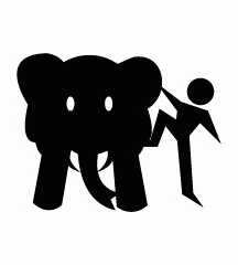Climbing Up Elephant