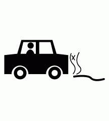 Snake Run Over By Car
