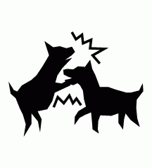 Dogs Fighting
