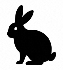 Year Of Rabbit
