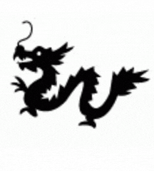 Year Of Dragon