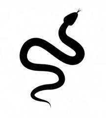 Year Of Snake