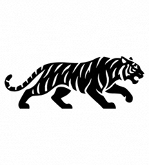 Year Of Tiger