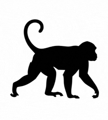 Year Of Monkey