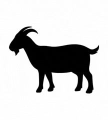 Year Of Goat