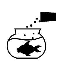 Feeding Gold Fish