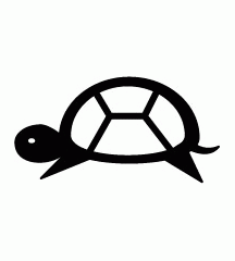 Tortoise