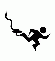 Killed By Snake