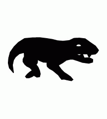 Komodo Dragon