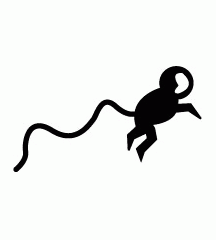 Long-Tail Monkey