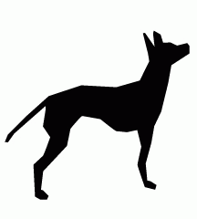 Mexican Hairless