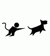 Monkey Chasing Dog