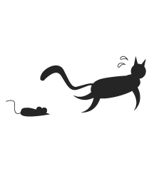 Mouse Chasing Cat