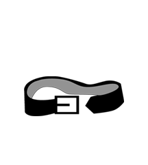 Belt With Gold Buckle