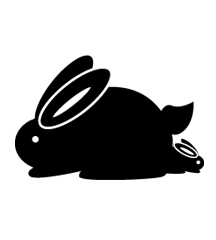 Rabbit Gave Birth