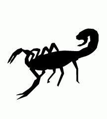 Scorpion
