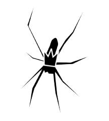 Spider King