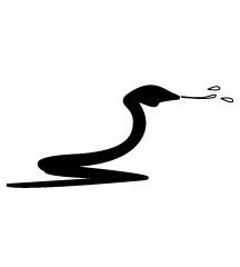 Spitting Cobra