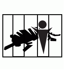 Trapped In Tiger Cage