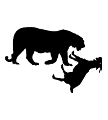 Tiger Ate Goat
