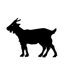 Deformed Goat
