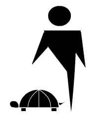 Freeing Tortoise