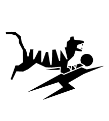 Killed By Tiger