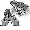 A toad gets into a shoe
