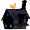 Hen flies over the house