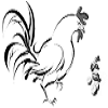Chicken drugs