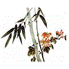 Bamboo flowering