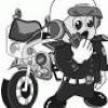Traffic Police
