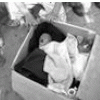 Abandoned baby