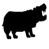 Hippo