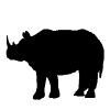 Rhinoceros