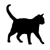 Domestic cat
