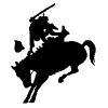 Crazy horse