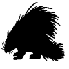 Porcupine