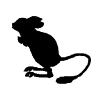 Jerboa