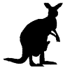 Kangaroo